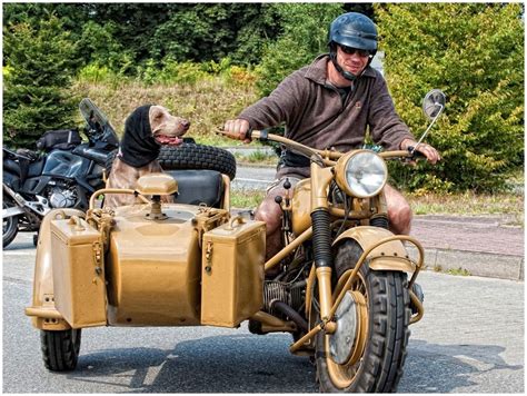 On A Steel Horse I Ride Sidecar Ural Motorcycle