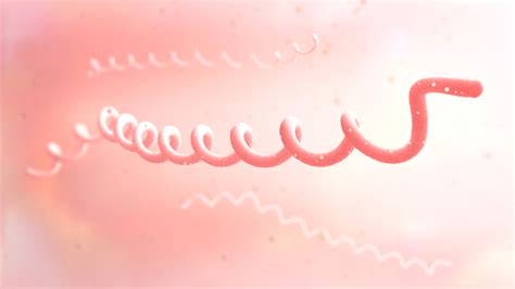 Burgdorferi antibody is consistent with the presence of antibody produced by patients in response to infection by b. Borrelia burgdorferi C(t) protein recombinant antigen ...