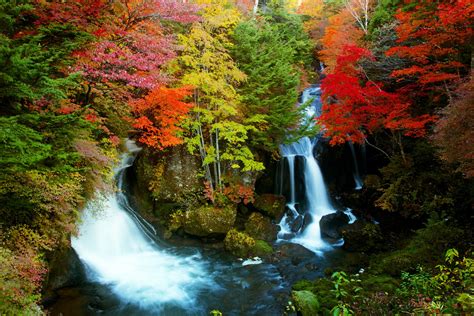 Autumn Forest Waterfall Hd Wallpaper Background Image 2000x1333
