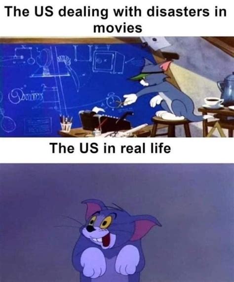 160 Funny Tom And Jerry Memes To Keep You Laughing Fandomspot