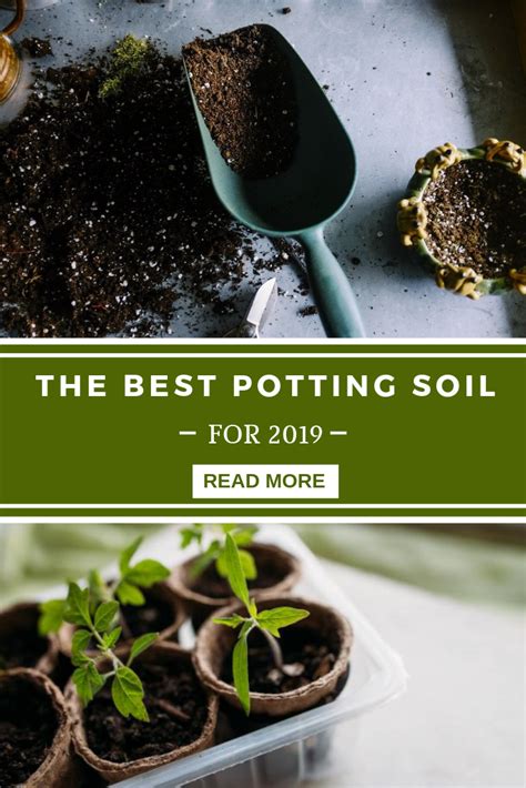 Put sufficient drainage material in the bottom. Best Potting Soil For Indoor Plants | Potting soil, Indoor ...