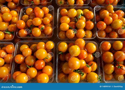 Orange Cherry Tomatoes Stock Image Image Of Fruits Healthy 14899161