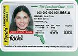 Photos of Florida Drivers License Permit Test