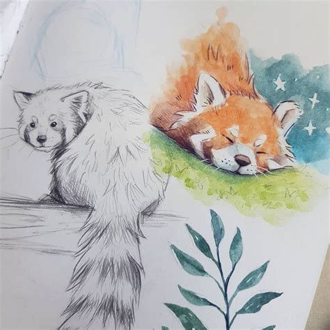 Please Follow Iloveredpandas Sketchbook Doodles Redpanda Panda