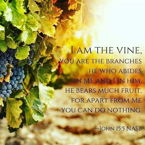 I Am The Vine You Are The Branches He Who Abides In Me And I In Him He Bears Much Fruit For
