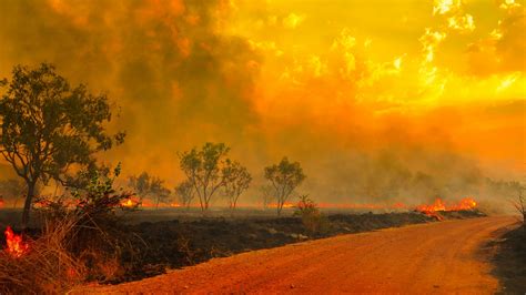 explainer what really causes australian bushfires