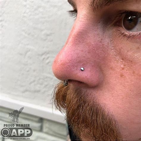Nostril Piercing With A Neometal Disk Done By Sarah