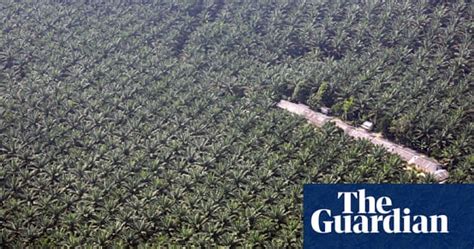 In Pictures Deforestation On Sumatra Island Environment The Guardian