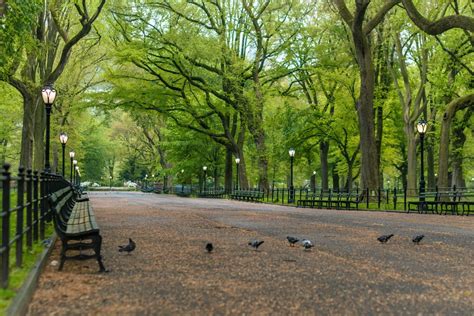 Central Parks Hidden Gems Explore The Parks Best Kept Secrets