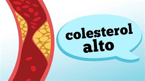 Colesterol Alto Quais Os Sintomas E O Que Fazer Home