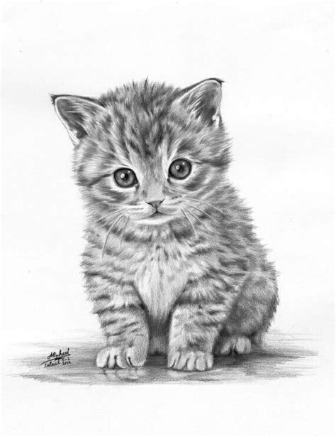 Rysunek Ołówkiem Kitten Drawing Animal Drawings Cool Drawings