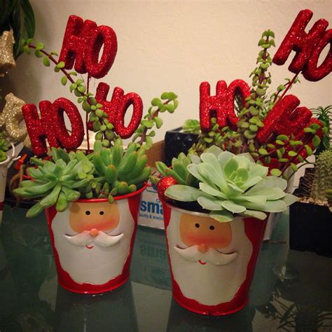 Christmas Arrangements Christmas Plants Christmas Plants Ts