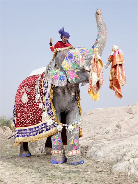 El Desfile De Los Elefantes Pintados De India Passport Travel Magazine