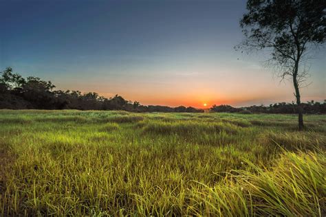 Landscape Photography Of Green Grass Field During Golden Hour · Free