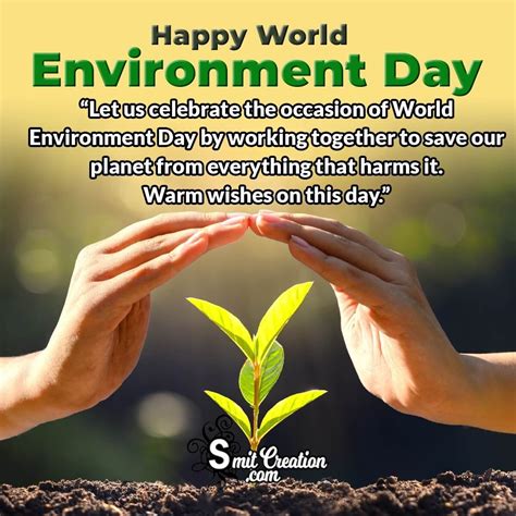 Full 4k Collection Of World Environment Day Images With Quotes Top
