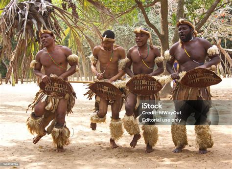Zulu Traditional Dancing Zululand South Africa Stock Photo Download