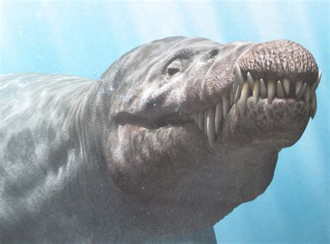 The Giant Sea Reptiles Of The Ancient Sea