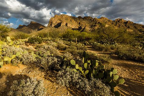 Tucson Arizona Landscape Photograph By Billy Bateman Pixels