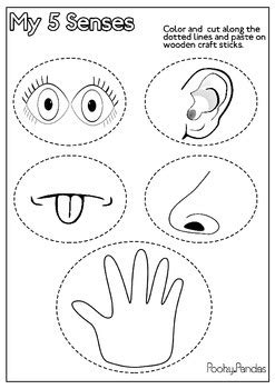 More educational activities for kids. 5 Senses stick puppets by Pooky Pandas | Teachers Pay Teachers