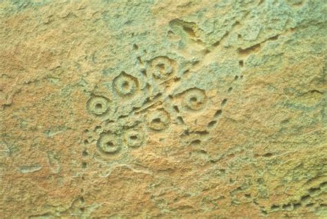 Petroglyphs From 14ew305 Kansas Memory