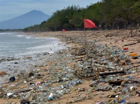 Pantai Di Makassar Dipenuhi Sampah Plastik Bisnis Com My Xxx Hot Girl