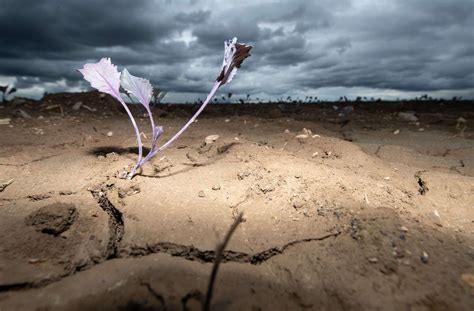 bericht des weltklimarates folgen des klimawandels wassermangel hunger und krankheiten