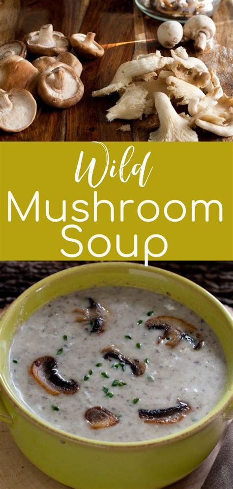 Wild Mushroom Soup In 2023 Gluten Free Mushroom Soup Wild Mushroom Soup Easy Fast Dinner Recipes