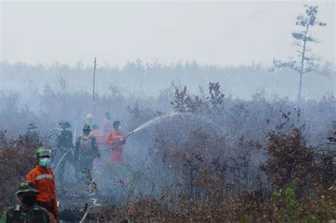 Although every effort has been done to make the content as accurate as possible, one stop malaysia shall not be liable for any inaccuracy in the information provided here. Bomba Malaysia ready to help Indonesia to put out forest ...