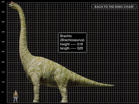 Brachiosaurus Jurassic Park Wiki