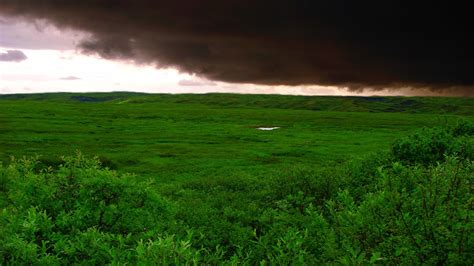 1920x1080 1920x1080 Green Field Clouds Grass Storm