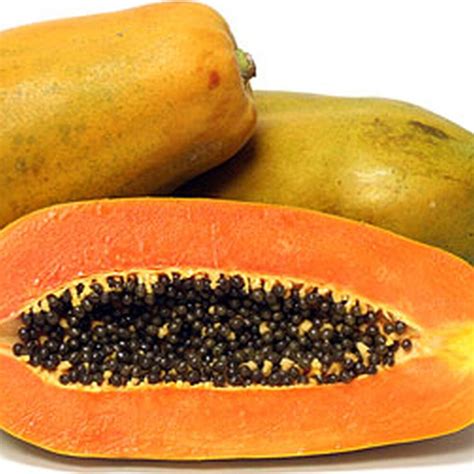 5 Of The Most Delicious Papaya Varieties 10 50 100 500 Or Etsy