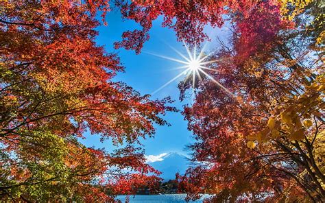 A Beautiful Sunny Day At The Lake Red Horizon Sun Sunlight Maples