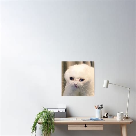 Crying Cat Meme Poster By Cherrygloss Redbubble