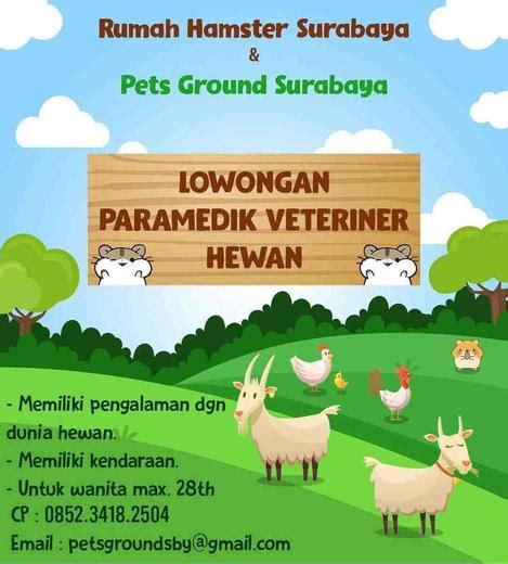Jabatan fungsional paramedik veteriner termasuk dalam rumpun ilmu hayat. Paramedik Veteriner Hewan - 𝙈𝙊𝙃𝘼𝙈𝙈𝘼𝘿 𝙅𝘼𝙀𝙉𝙐𝘿𝙄𝙉 di Surabaya, 14 Feb 2020 - Loker | AtmaGo, Warga ...