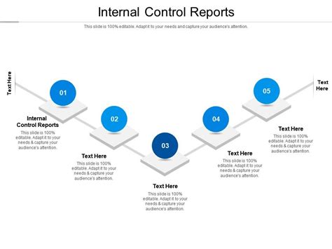 Internal Control Reports Ppt Powerpoint Presentation Gallery