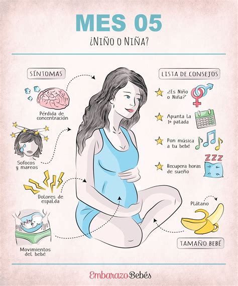 Infografía Consejos Mes 5 De Embarazo Mes 5 De Embarazo Quinto Mes
