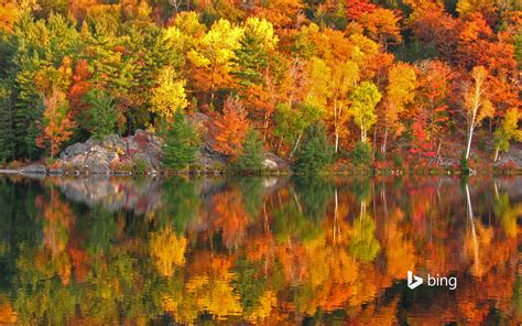 Autumn At George Lake Ontario Canada © Pavels