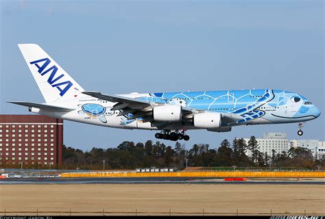 Airbus A380 841 All Nippon Airways Ana Aviation Photo 6087911