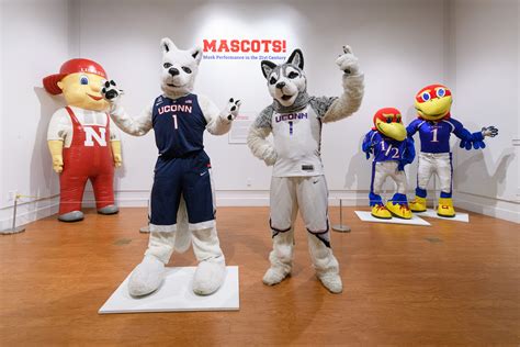Exhibit Puts Spotlight On Sports Mascots Uconn Today