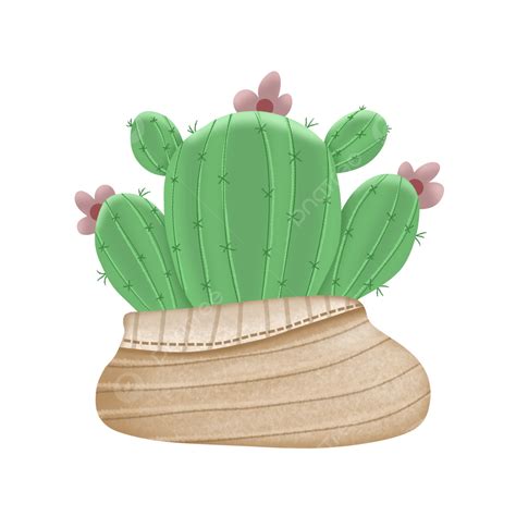 Cactus Illustration Png Image Cute Cartoon Green Cactus Illustration