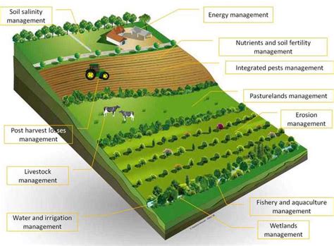 Sustainable Agriculture Organic Farming And Biofertilizers Pmf Ias