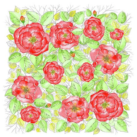 Scarlet Roses Mixed Media By Preeta Varkey Fine Art America