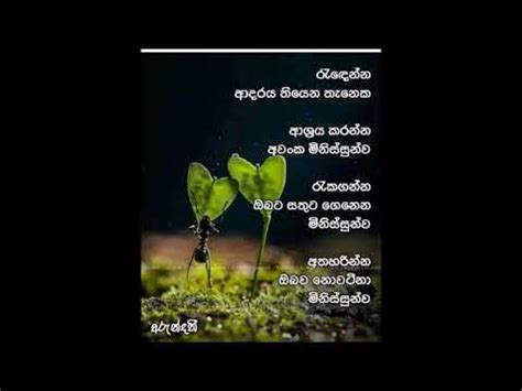 Check spelling or type a new query. Sitha Niwana Budu Wadan Sinhala - Get Images One