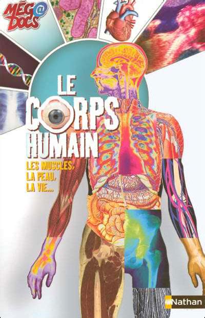 Le Corps Humain Les Muscles Poster Plastifi Hot Sex Picture
