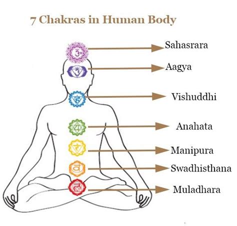 Chakra Meditation Chakras In Human Body Chakra Meditation Body Chakras