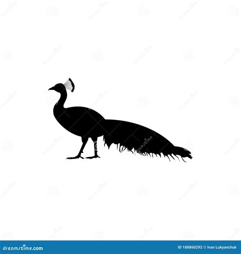 Peacock Silhouette Isolated Fantasy Birds Isolated Stock Vector