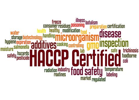 What Is Haccp A Step By Step Guide By Dicentra