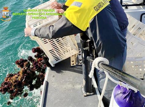 Pesca Illegale Di Ricci Di Mare Nonostante I Divieti Anticovid Scatta