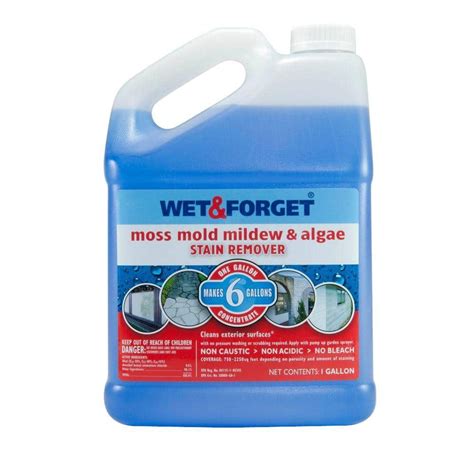 Wet And Forget 1 Gal Moss Mold Mildew And Algae Stain Remover 800006