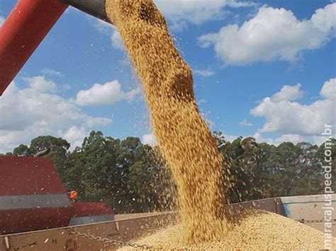 MS lidera ranking da produção de soja que cresce mais de 13 ao ano no